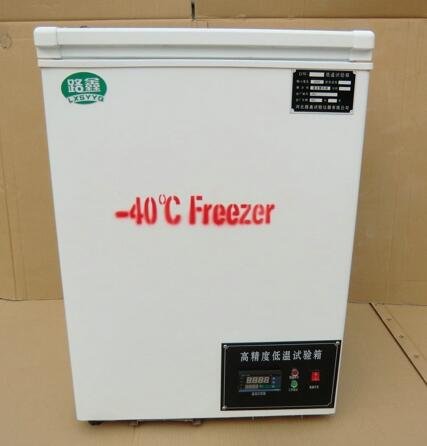 小型-40度低温试验箱